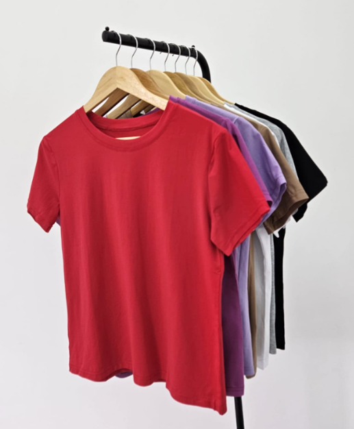 Remera Lisa Primavera/Verano