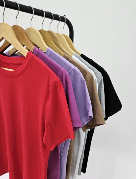 Remera Lisa Primavera/Verano